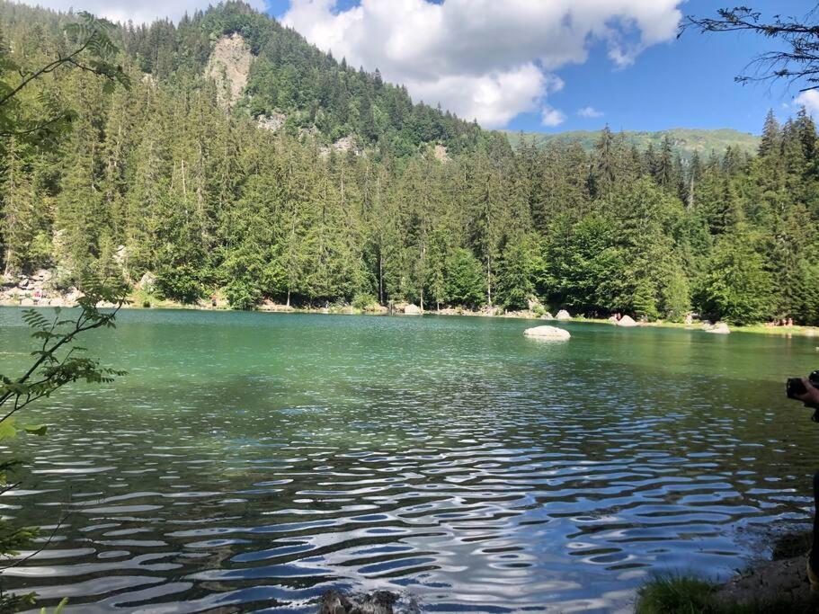 Appartement Au Pays Du Mont-Blanc Σαλάνς Εξωτερικό φωτογραφία